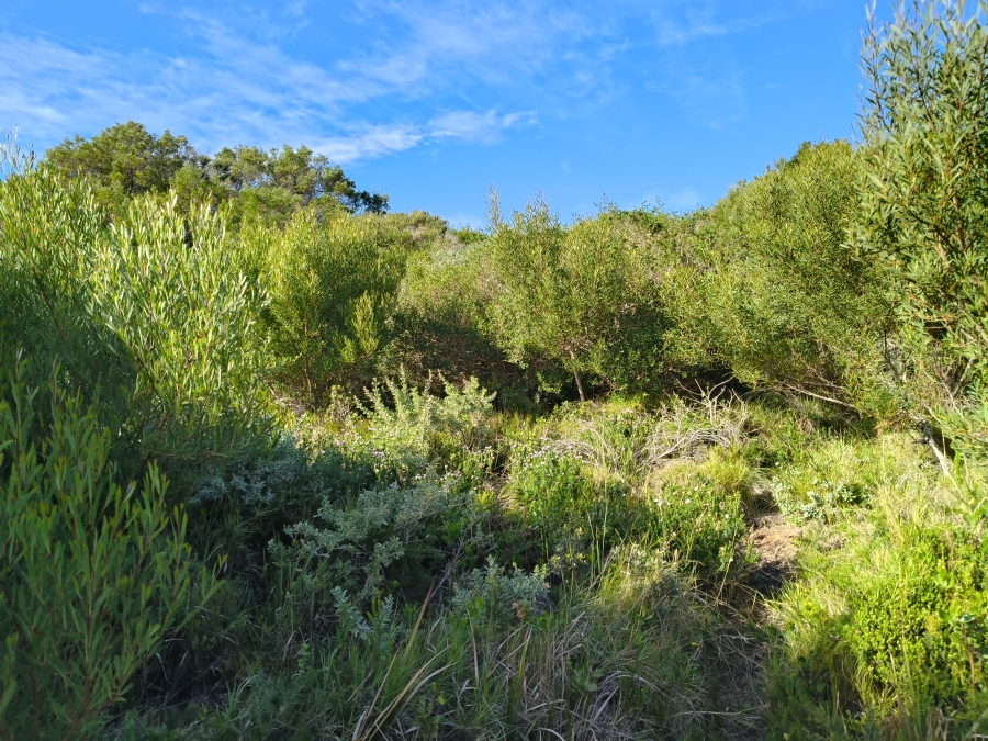 0 Bedroom Property for Sale in Paradise Beach Eastern Cape